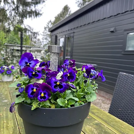 Chalet Heerlijk Middenin De Natuur!