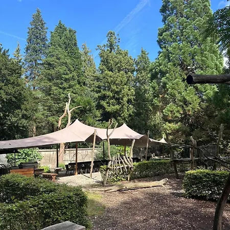 Chalet Heerlijk Middenin De Natuur!