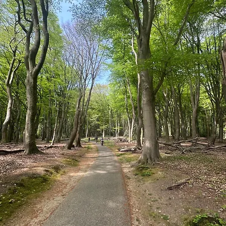 Heerlijk Middenin De Natuur! *