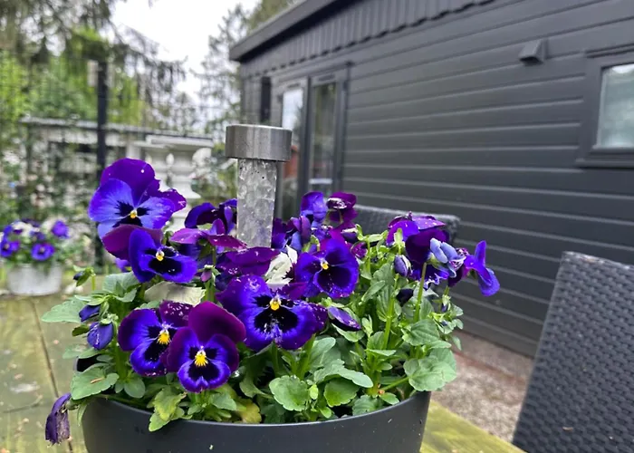 Alpstuga Heerlijk Middenin De Natuur!