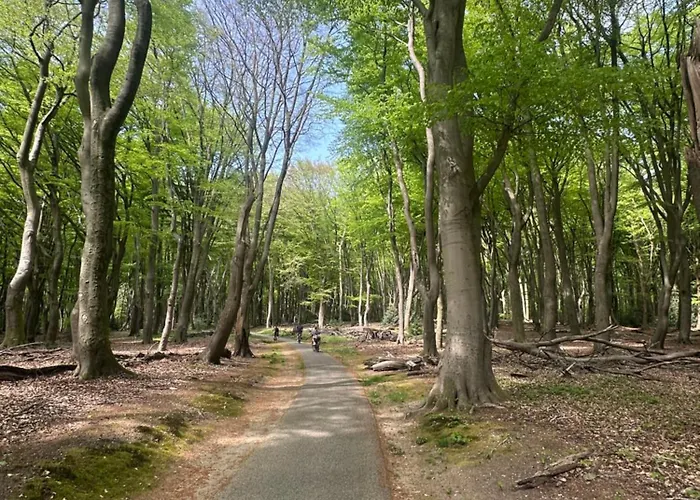 Heerlijk Middenin De Natuur! *